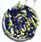 Butterfly_Pea_Flower_Bottega_delle_tisane