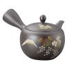 TEIERA GIAPPONESE YOKODE KYUSU 330cc.